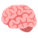 Brain icon